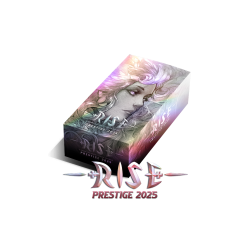 DISPLAY RISE - PRESTIGE 2025 (FR)