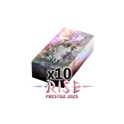 CASE DISPLAYS RISE - PRESTIGE 2025 (FR)